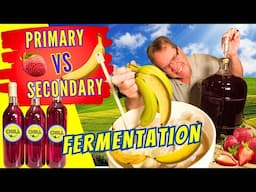 Wine Primary and Secondary Fermentation - Everything You Need To Know About Making Wine