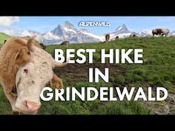 Best Hike in Grindelwald | Alpenwild