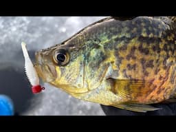 Ice Fishing Crappies - Under Water Strikes! Aqua Vu 715c