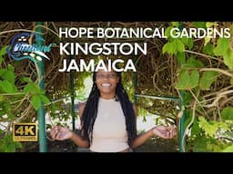 [4K] You Need to Visit Jamaica and Explore Hope Botanical Gardens with Racquel as Your Tour Guide 🇯🇲