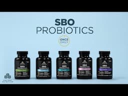 SBO Probiotics Once Dailies | Ancient Nutrition