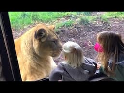 Funniest Moments At The Zoo With Curious Kids | TRY NOT TO LAUGH