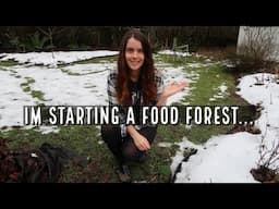 Starting a food forest on 1/4 acre on Vancouver Island