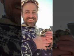 Ice Tragedy Turns into Bird Family Rescue