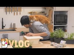 Indoor herb stand (🌱🔨DIY vlog)