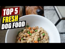 Affordable Fresh Dog Food Options: Budget-Friendly Choices