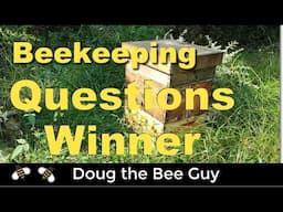 Beekeeping Questions Winner