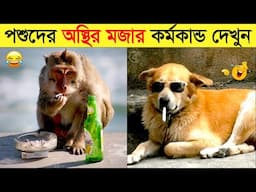 পশুদের মজার কর্মকান্ড ক্যামেরায় ধরা পড়া | Funny Animals Video 2023 (Part-24) | mayajaal