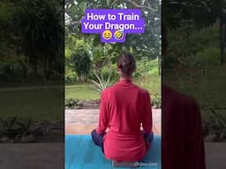 Lizard Meditation 🦎🧘🏻‍♀️