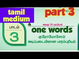 12th bio botany lesson 3| one words (part 3) | tamil medium | குரோமோசோம் அடிப்படையிலான பாரம்பரியம்