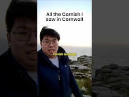 All the Cornish I saw in Cornwall