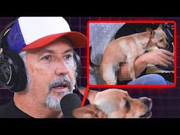 Harland Williams Emasculated By A Dog