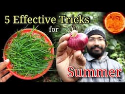 My Best 5 Tricks to keep plants Healthy in Summer for Beginners | गर्मी में पौधों को कैसे बचाएं