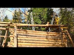 Raising the Ridge Log #294-Martin's Old Off Grid Log Cabin