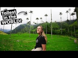 Salento, Colombia! - World's TALLEST Palm Trees