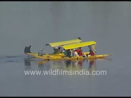 Shikaras and house boats on Dal Lake in Srinagar, Kashmir, in days of yore, circa 1990's