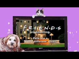 Friends Parody Song by Pets - I'll be there for you!