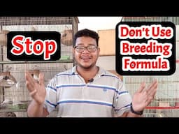 Do Not Use Breeding Formula | Breeding tips | Java sparrow | cockatiel |  Lovebirds | Budgies | Bird