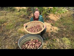 Fall Garden Finale: Harvesting & Winterizing Our Alaskan Homestead Plot