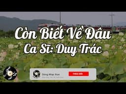 Còn Biết Về Đâu -  Duy Trác | Nhạc sĩ: Lê Tín Hương