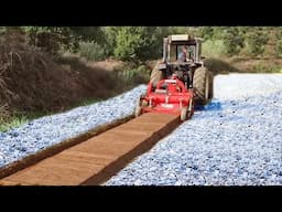 Farmers Use Farming Machines You've Never Seen - Most Ingenious Agriculture Inventions