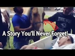 Man Says Goodbye to His Horse – The Horse’s Reaction Will Shock You! #truestory