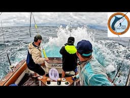 We fished a Marlin Tournament! | 3 days, 36 boats, rough weather, WINNER TAKES ALL!