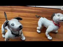 Aibo ERS-1000: How Different Are Wren and Baymax?