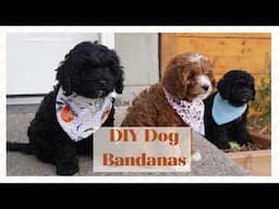 How to Sew a Bandana Bib for babies or dogs! - EASY tutorial for beginners! Sewing baby Bandana Bibs