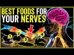 Best Foods For Nerves Repair And For Nervous System | Neuropathy Treatment And Nerve Pain Relief