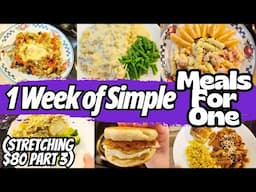 Part 3 - A Second Full Week Of One Person Meals - Stretching $80 | Extreme Grocery Budget Challenge