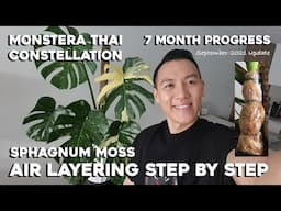 Monstera Thai Constellation | Sphagnum Moss Air Layering Step by Step