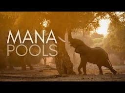 What makes MANA POOLS so special?