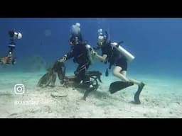 Scuba Diving Racha Noi & Racha yai