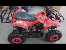 Mini quadriciclo BZ Rex 49cc Barzi Motors NF 00386