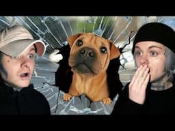 Twin Paranormal Fakes Being Robbed Because Their Dog Broke A Glass Door