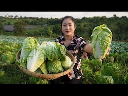 '' Napa cabbage '' Yummy Kim chi cooking with country style - Countryside Life TV