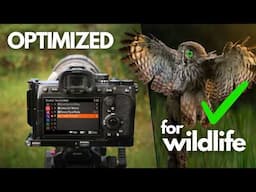 My Top 5 Sony Custom Functions - Bird & Wildlife Photography