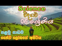 ජෛව ලෝකයේ අසිරිය - 6 වසර 1 පාඩම | grade 6 science lesson 1 Sinhala medium | science  grade 6 sinhala