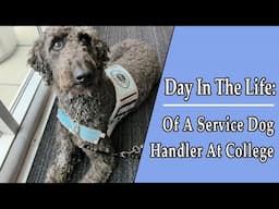 A Day in the Life: Service Dog Handler at College