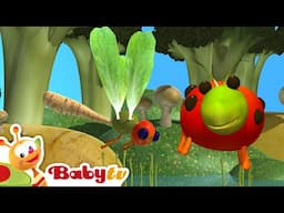 Ladybug, Nut, Fly & Glow | Vegetables Turn into Amazing Bugs! 🐞🥕 @BabyTV