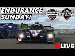 Double Endurance Sunday On iRacing!