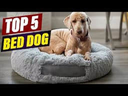 The Ultimate Guide to Bed Dogs: A Comprehensive Overview