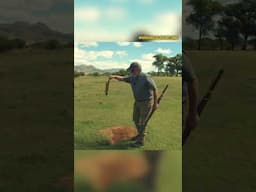 AirGun VS African Pests