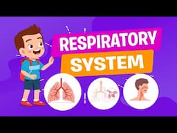 Respiratory System for Kids | Science Lesson | Crash Course | Educational Video |