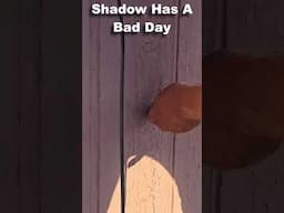 Shadow has a bad Day