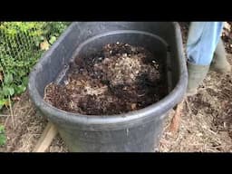 Easy DIY Composting Worm Farm Using Red Wrigglers from the Compost Pile | PNW from Scratch