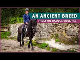 Equestrian Rides the Pottoka in Spain