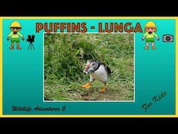 Puffins for Kids - Searching for puffins on Lunga near Mull