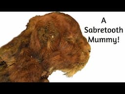 A Mummified Baby Sabretooth has been Found! - Homotherium Uncovered